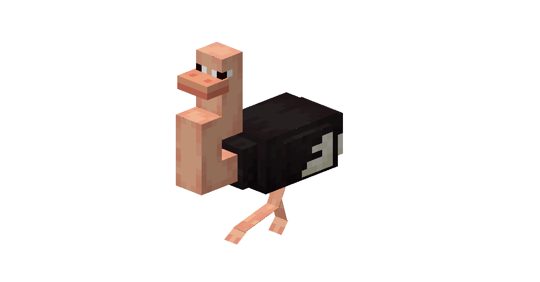 Caminata de Ostrich