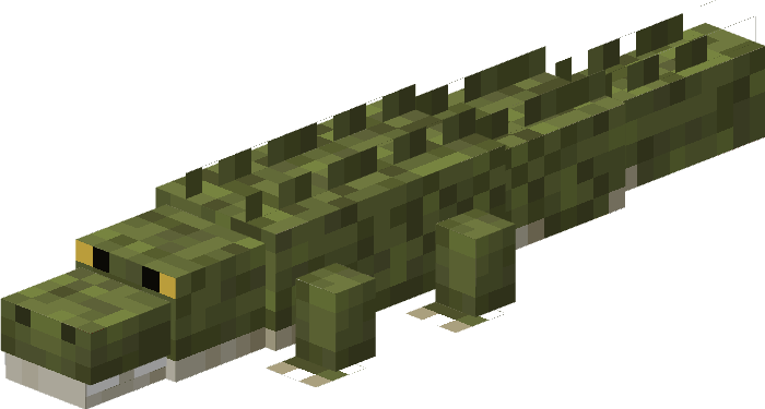 Alligator