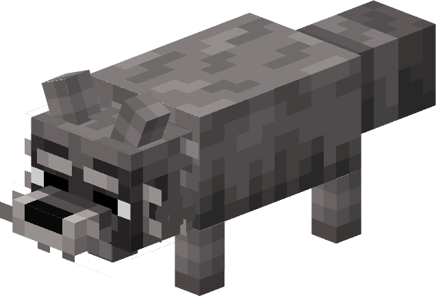 Raccoon