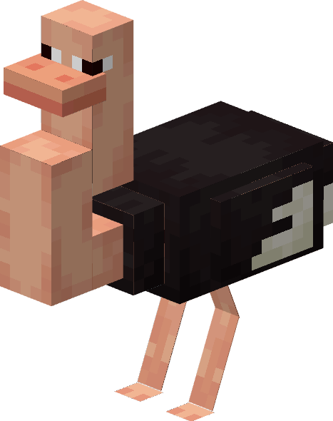 Ostrich