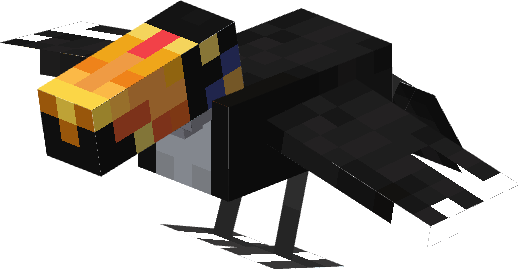 Toucan