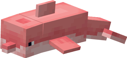 White Dolphin