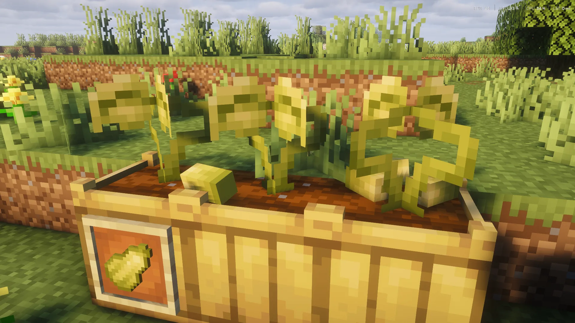 Cultivos tropicales verdes en Minecraft